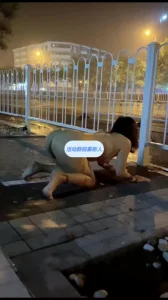 车来车往的大路上极限露出调教